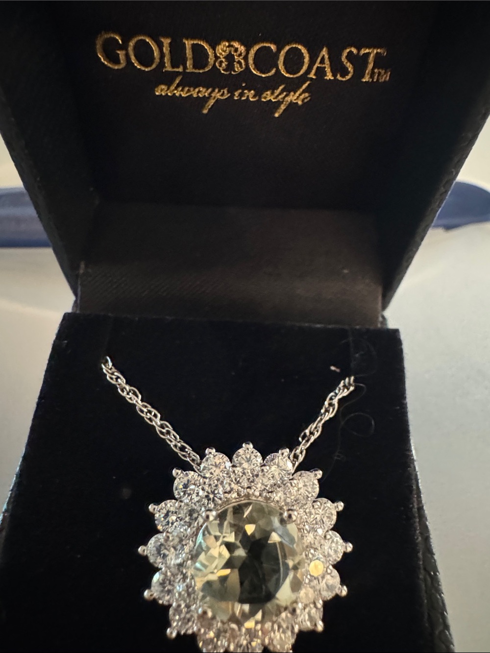 Gold coast Silver-Tone Clear Crystal Pendant Necklace